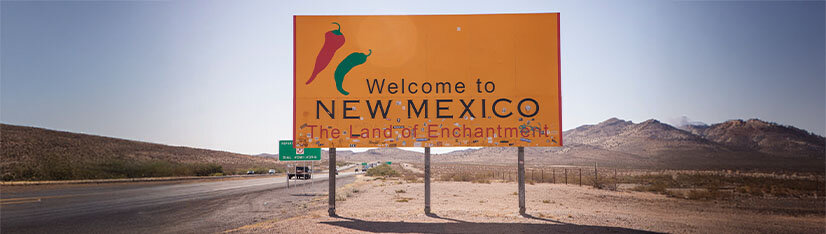 Firmengr&uuml;ndung in den USA &ndash; Bundesstaat New Mexico