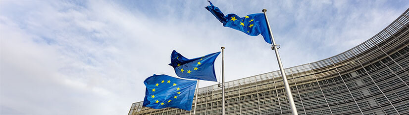 Die Societas Europaea (SE) &ndash; Die europ&auml;ische Aktiengesellschaft
